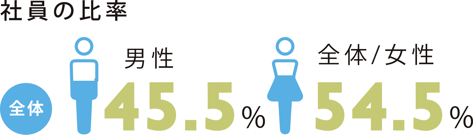 社員の比率 全体 男性 45.5% / 全体/女性 54.5%