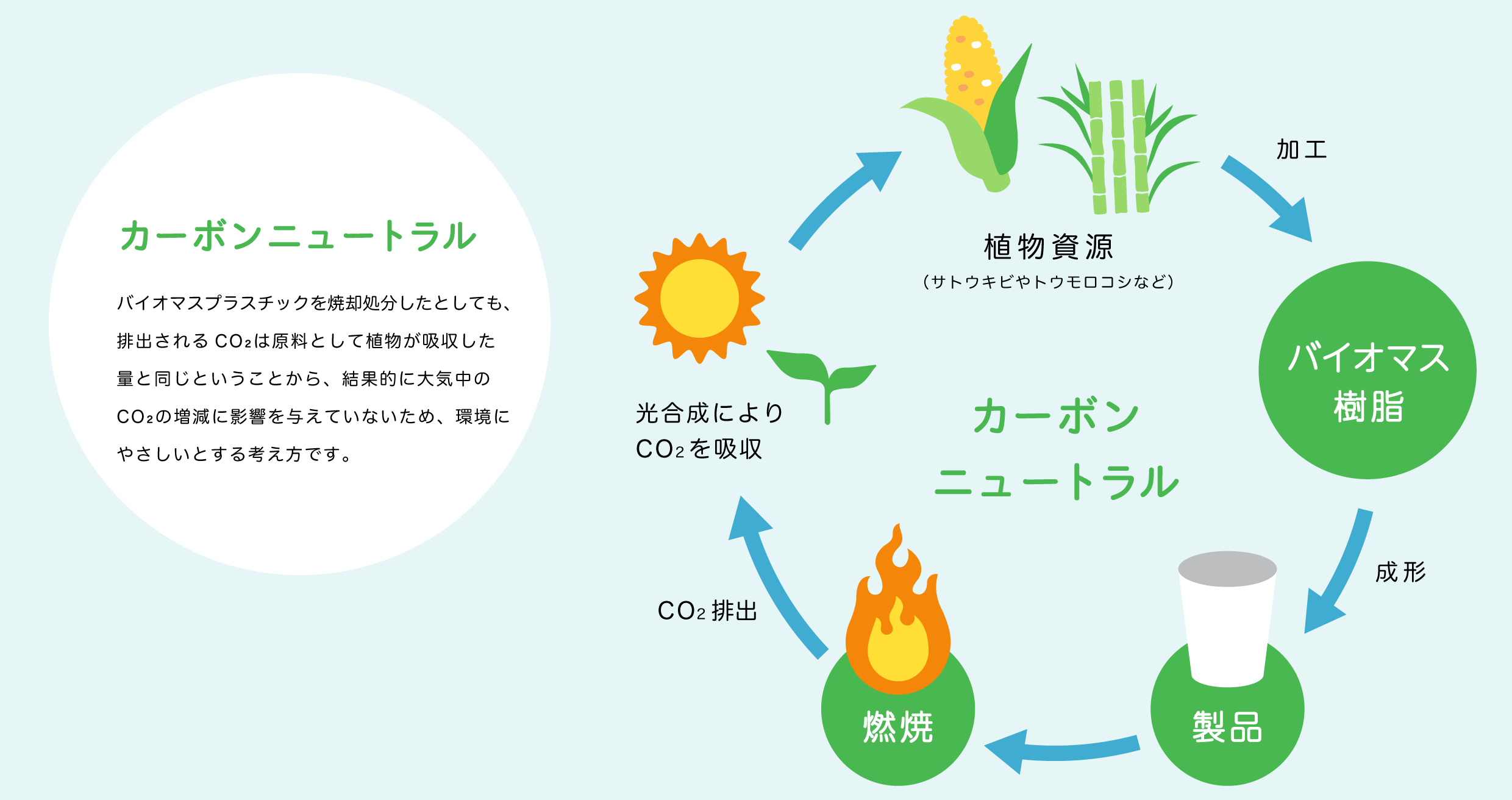 プラスチックの環境循環